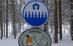 Rokuan kansallispuiston leppälintu