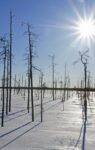 Kiinteistöhuolto Vilho Moilanen tarjoaa kiinteistönhuollon palveluita