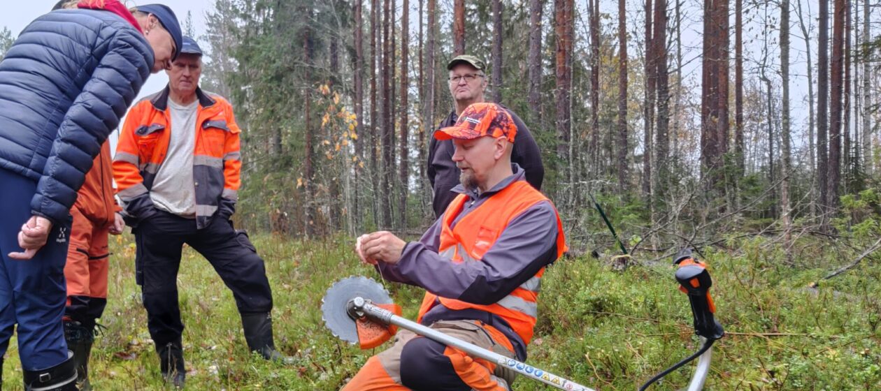 Metsänhoitoyhdistys Rokua – Paljakka ry, metsäasiantuntijuutta taimesta tuotteeseen